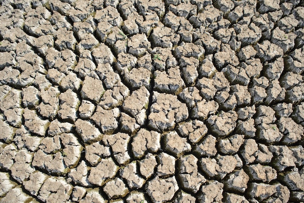 Cracked ground Dry land Desert landscape background Global warming concept