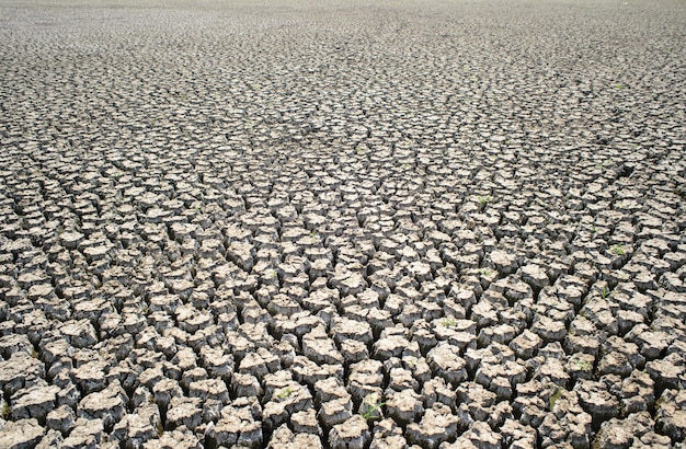 Cracked ground Dry land Desert landscape background Global warming concept