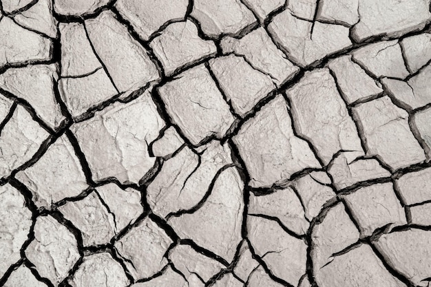 Cracked ground into the dry season