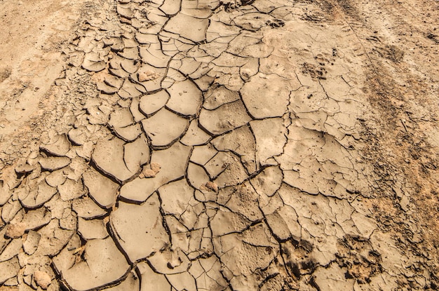 Cracked ground in Sardinia