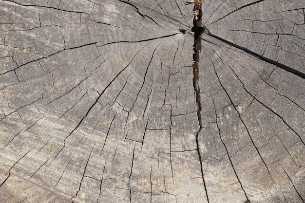 Cracked old wooden floor background