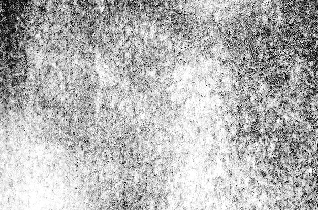 Cracked paint on wall. black and white. Fragment of a surface of wall with cracked paint coating light