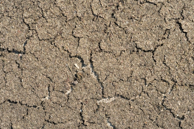 Cracks on dry ground Drought due to lack of precipitation Poor harvest due to lack of moisture in the soil An empty background and the texture of a weathered earth