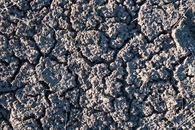 Cracks in dry land, drought, top view