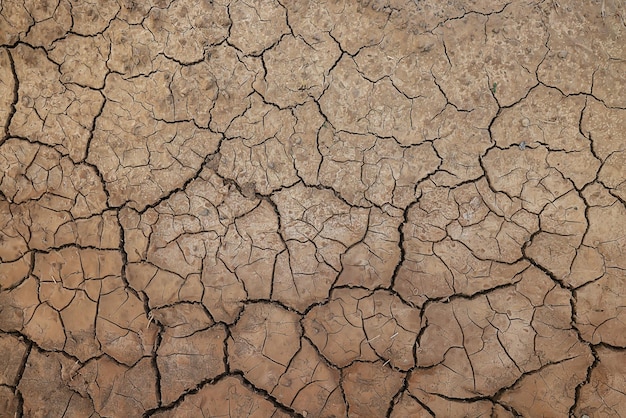 cracks on the ground desert texture background earth climate ecology