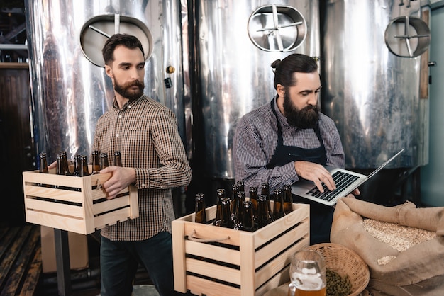 Craftsmen Counting Beer Bottles Microbrewery.