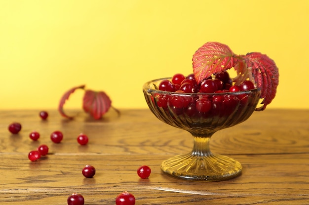 Cranberries in a glass vase with a red leaf on top on a yellow background