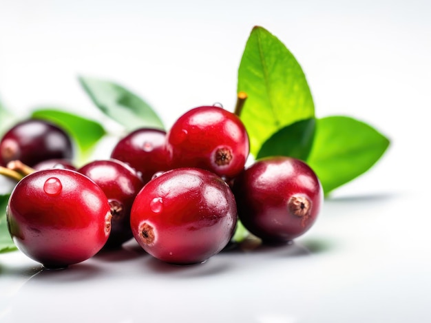 Cranberries with green leaf