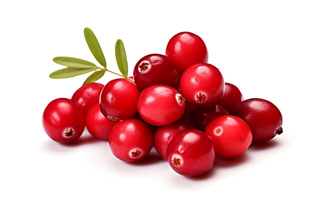 Cranberry isolated on white background