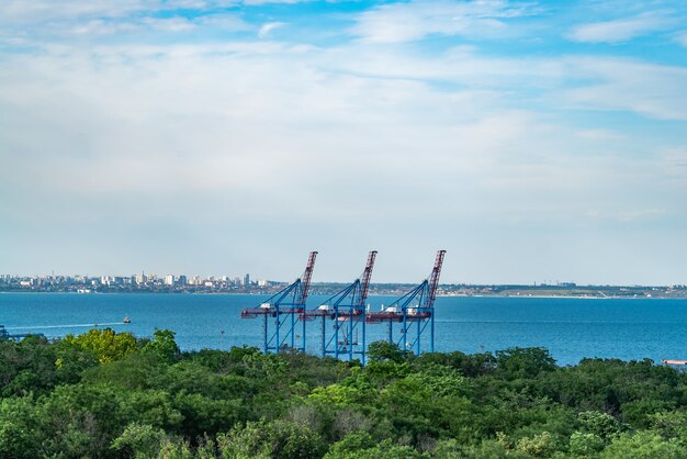 Cranes without work in an empty port