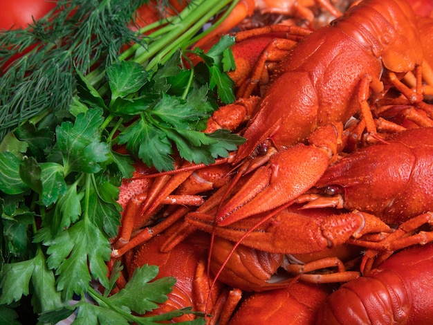 Crayfish party, restaurant, cafe, pub menu.