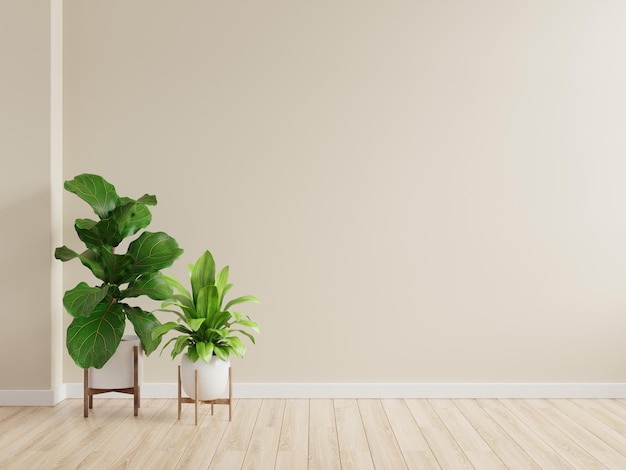 Cream color wall empty room with plants on a wooden floor.3D rendering