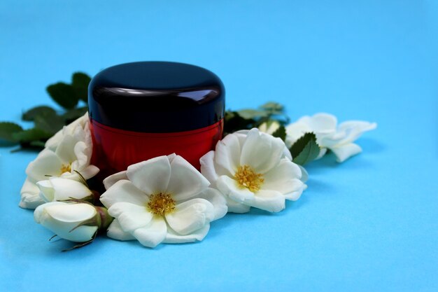 Cream in red in a bottle surrounded by white rose hips on a blue background Nourishing cosmetics for the face