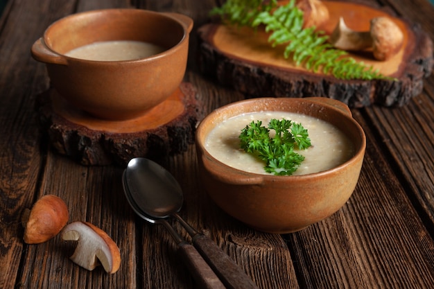 Cream soup from fresh forest mushrooms cep, boletus. Top view, close-up