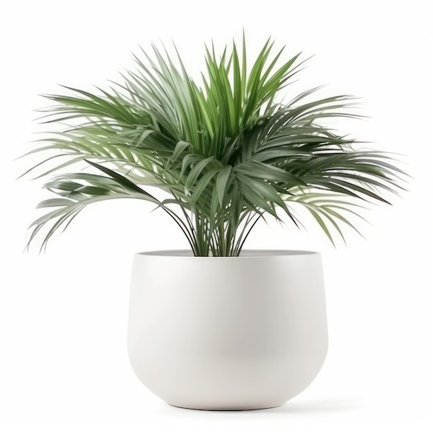 Create a calming and serene atmosphere with a green plant in a modern white planter