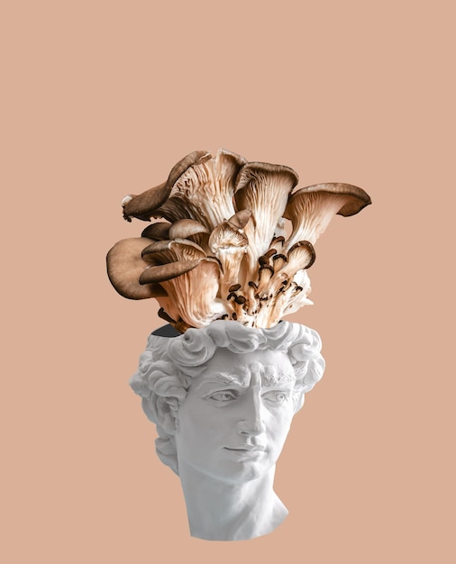 Creative art collage of David's head with huge group of mushrooms growing out of his head on brown background