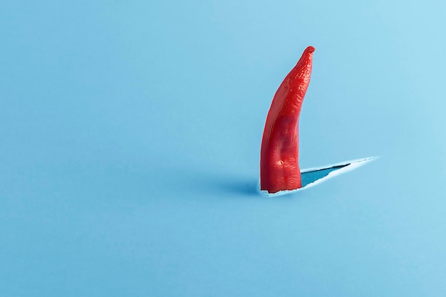 Creative concept of hidden danger Red pepper shark fin cuts paper