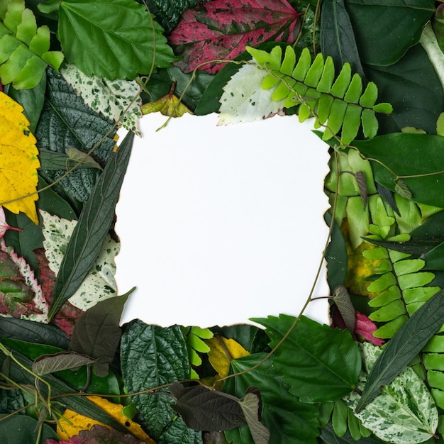 Creative concept multicolor leaves with paper card note.