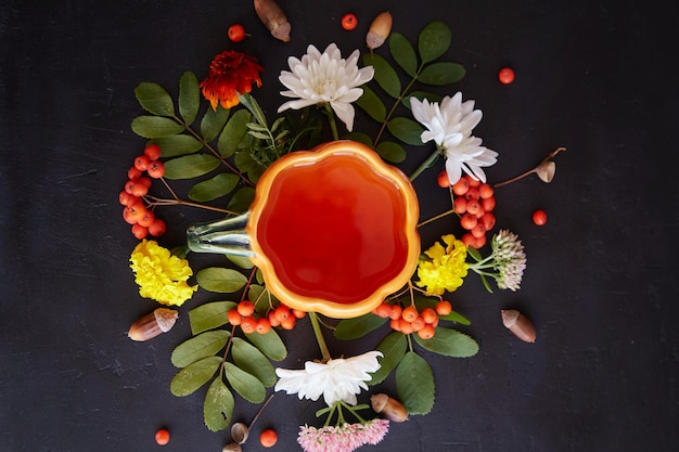 Creative cup of natural tea among rowan berries acorns marigold chrysanthemum on black background Aesthetic sustainable ecofriendly teatime