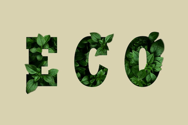 Photo creative eco text plants sprout through letters