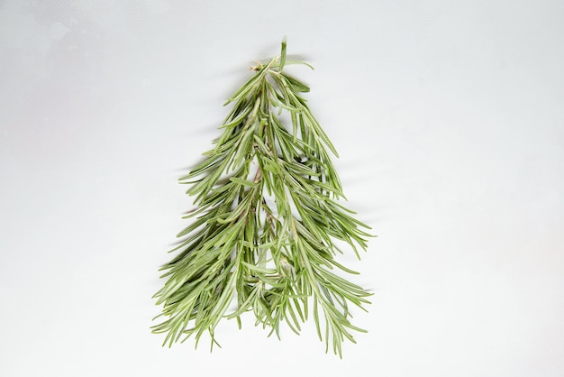 Creative festive Christmas tree made from rosemary Natural holidays food concept Seasonal styling Greenery background Copy space