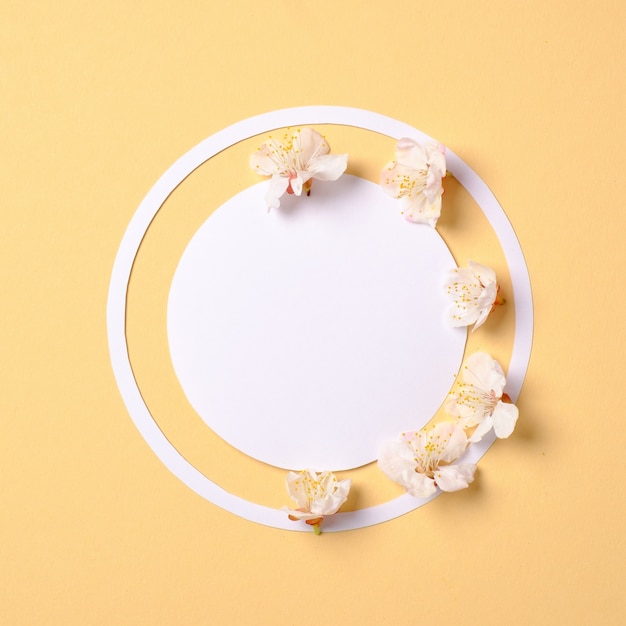 Creative flat lay composition: circle blank paper and blooming sakura petals