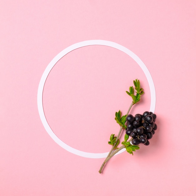 Creative flat lay composition: circle blank paper and branch with berry