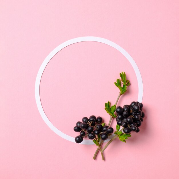 Creative flat lay composition: circle blank paper and branch with berry