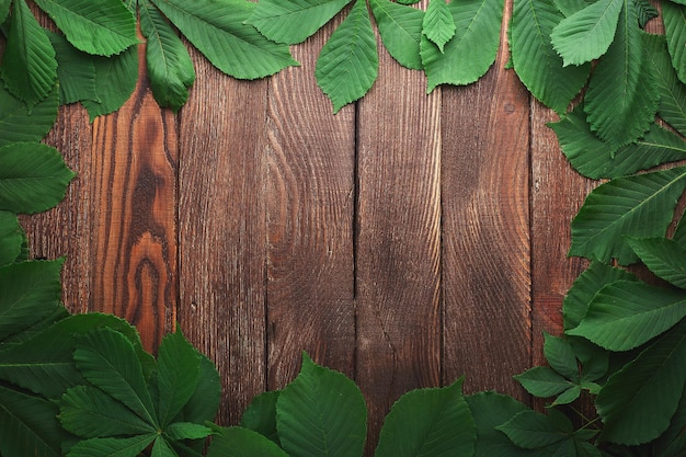 Creative frame border Wooden background with chestnut leaves frame