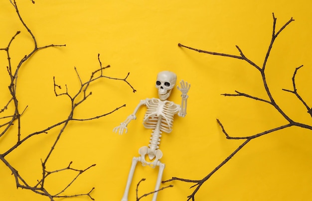 Creative Halloween layout Tree branch skeleton on yellow background Flat lay