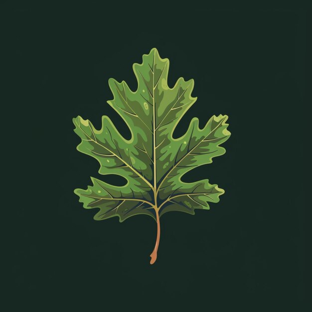 Photo creative illustration of an oak leaf