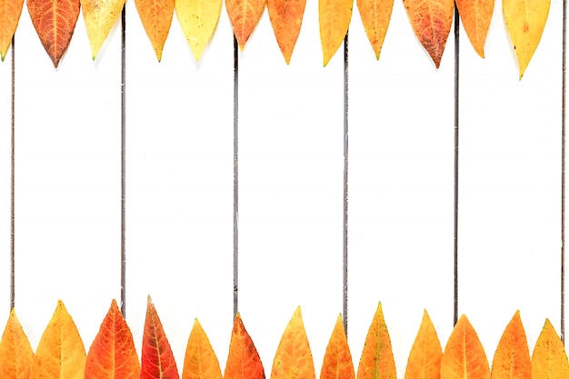 Creative layout of colorful autumn leaves. Flat lay on white wooden background.