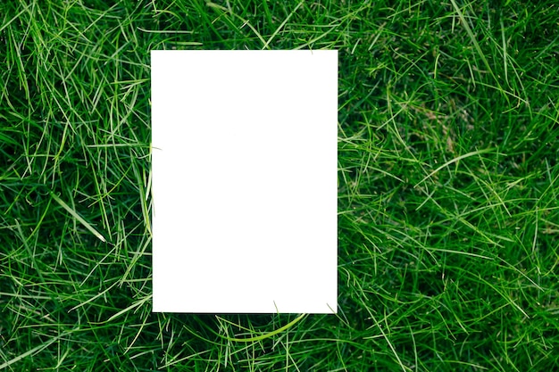 Creative layout composition frame made of green fresh grass with a beautiful texture with a white pa...