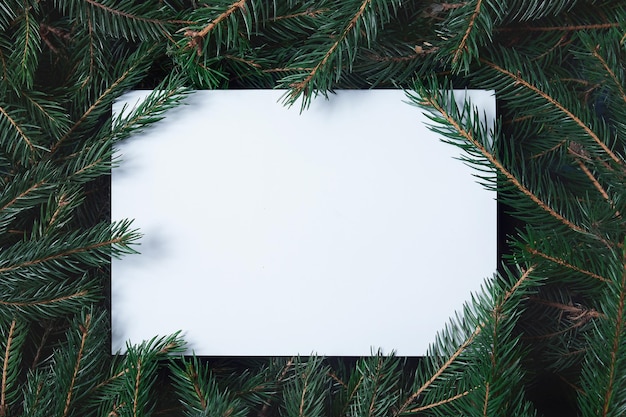 Creative layout made of Christmas tree branches with paper card note. Nature New Year concept.