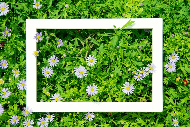 Photo creative layout made of flowers and leaves with white frame. top view. nature concept