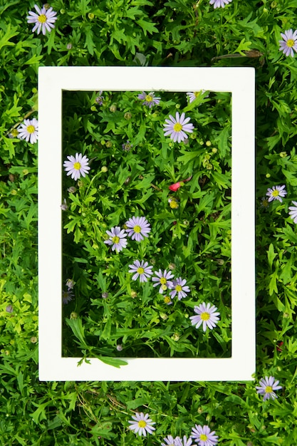 Photo creative layout made of flowers and leaves with white frame. top view. nature concept