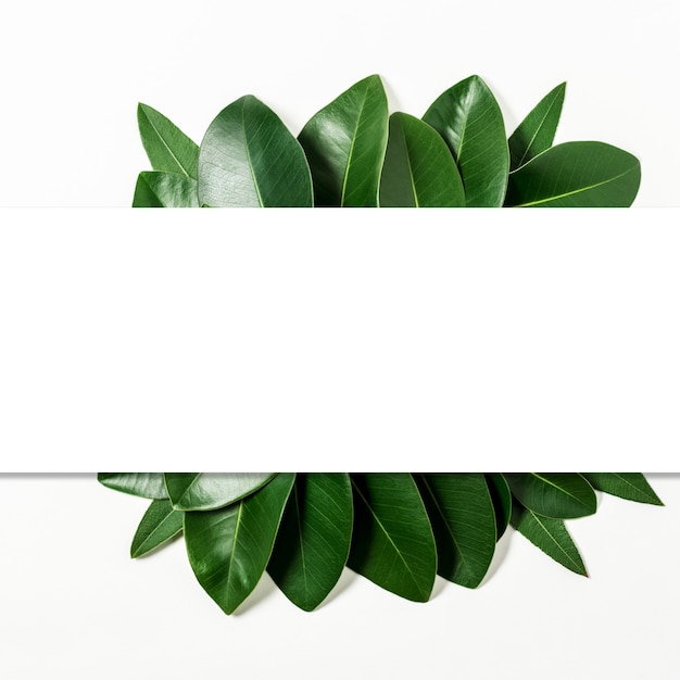 Creative layout made of leaves with paper card note