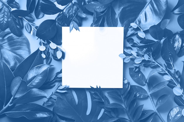 Creative layout made of tropical leaves in monochrome colors. Trendy blue and calm color. Flat lay. Top view.