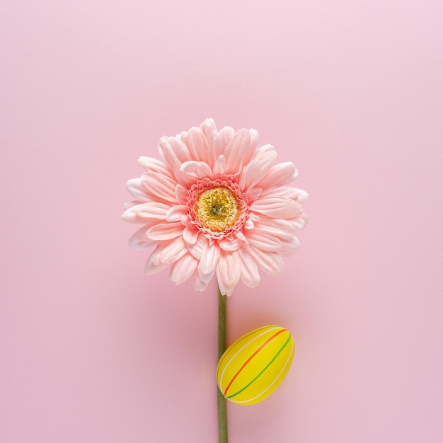 Photo creative layout with colorful easter egg and daisy flower on pink.