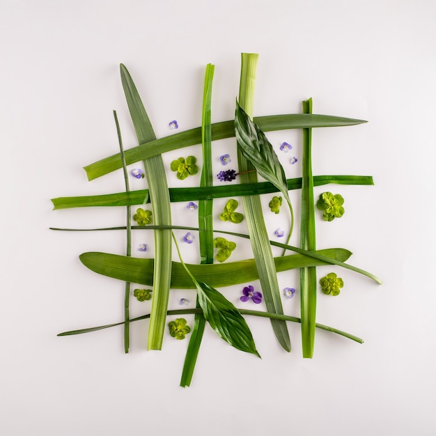 Creative net layout made of violets and leaves on the white background. Square. Minimalistic spring concept. Flat lay