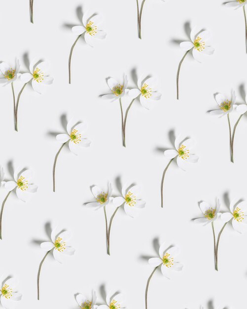 Photo creative pattern from small spring anemone nemorosa flowers on white background floral pattern springtime ornament minimal style field flower top view close up white wildflower graphic florals