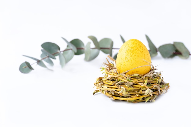 Creative photo with easter yellow egg and eucalyptus