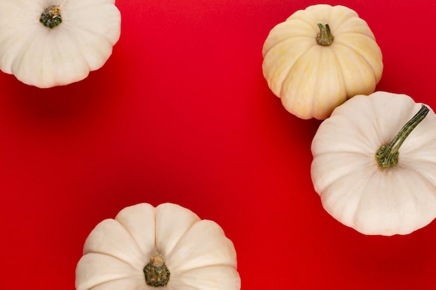 Creative Top view flat lay autumn composition. Frame made of pumpkins color paper background