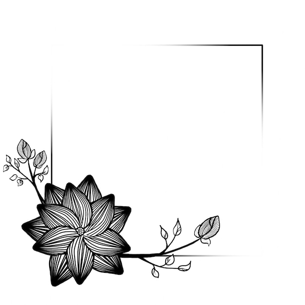 Creative white flower background