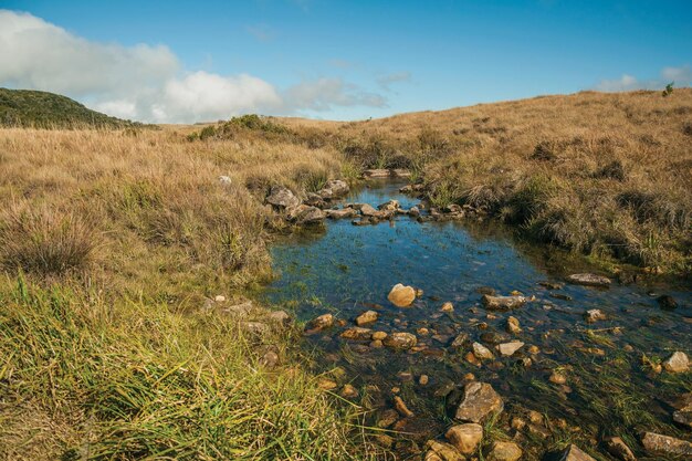 Creek with stones going through hills on rural lowlands called pampas near cambara do sul brazil