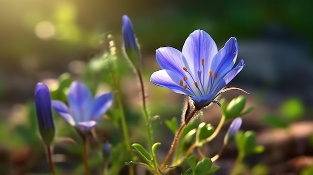 Creeping Mazus Flower Beautifully Bloomed Generative AI