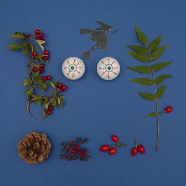 Creepy eyes look at us in combination with leaves, rose hips and other berries and a cone that stands out against a blue background with witch. Flat lay composition.