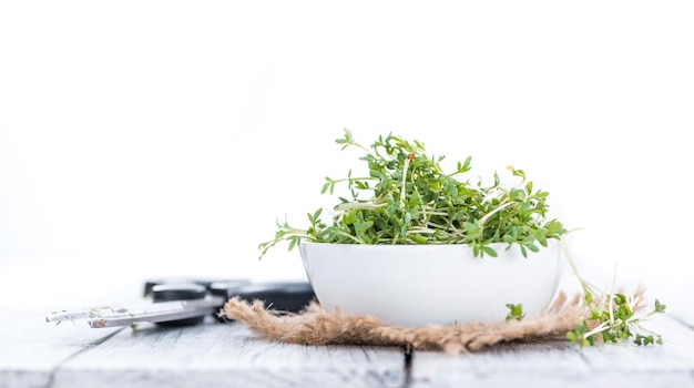 Cress isolated on white