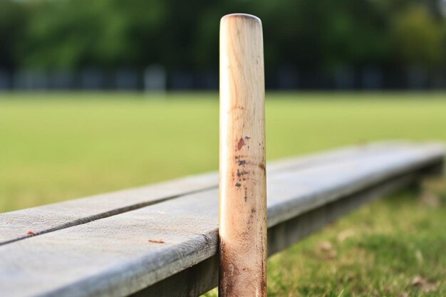 Photo cricket bat resting against boundary rope