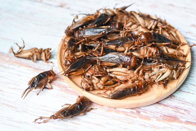 Cricket insect on wooden plate background cricket insect related to the grasshoppers for food in Asian